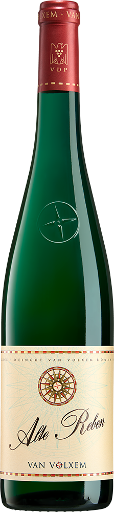 2024 Alte Reben Riesling