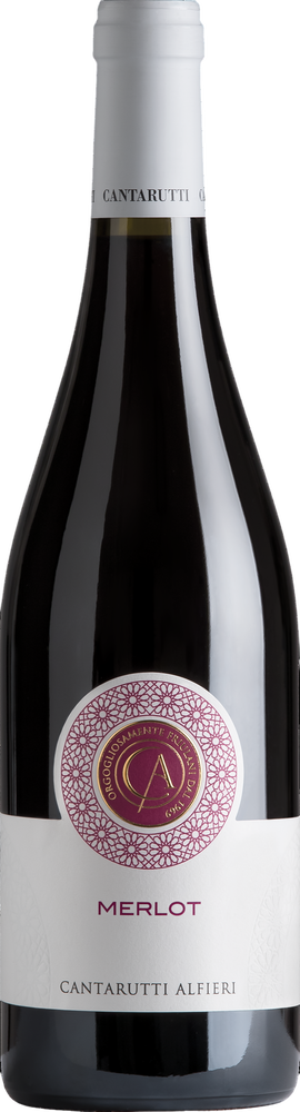 2023 Merlot Friuli Colli Orientali DOC