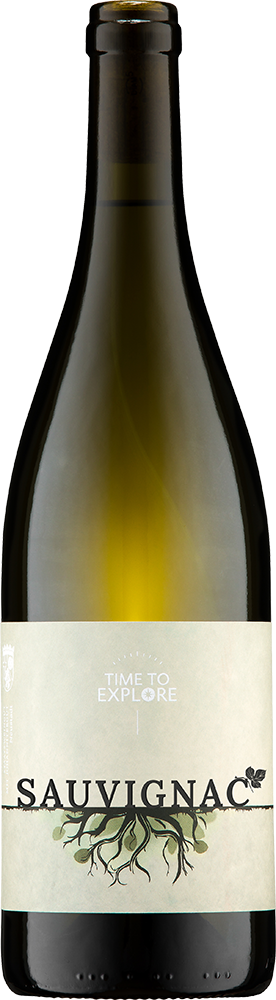 2025 Sauvignac