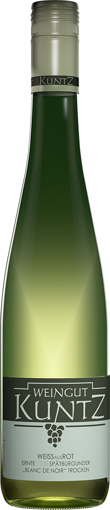 2024 WEIßausROT Spätburgunder BLANC DE NOIR "weißgekeltert" #WeinSommer - Sonderpreis