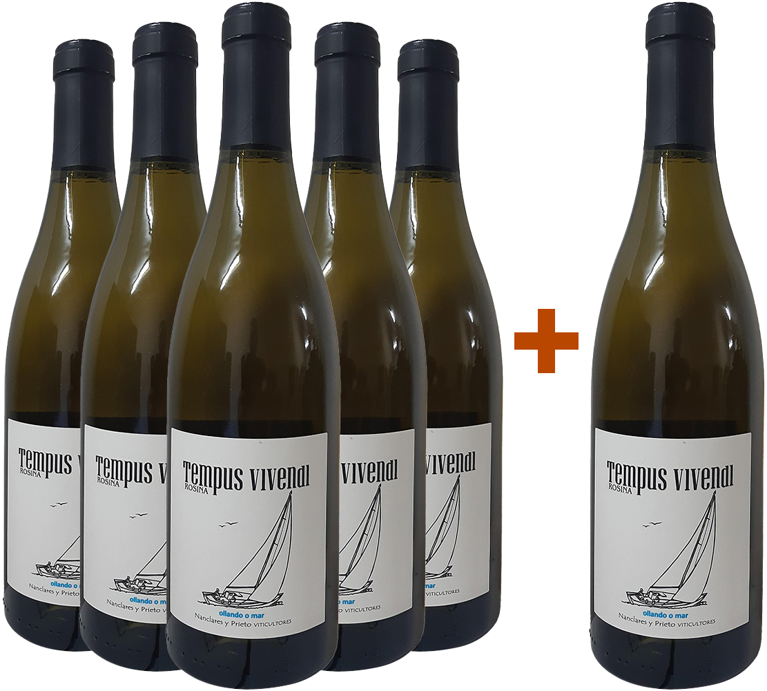 Pack Descuento 5+1 Nanclares Tempus Vivendi Rías Baixas DO