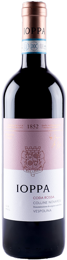 2024 Vespolina Coda Rossa Colline Novaresi DOC
