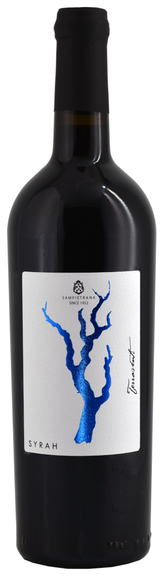2022 Syrah Salento IGP