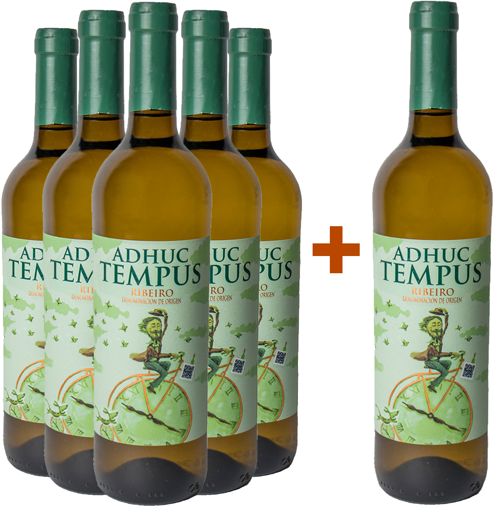 5+1 Aktionspaket Adhuc Tempus Ribeiro DO