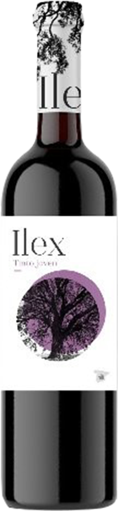 2025 Ilex Tinto Castilla VT