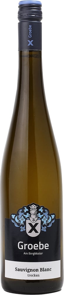 2024 Sauvignon BIanc BIO