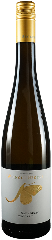 2025 Sauvignac Ilbesheimer Rittersberg BIO
