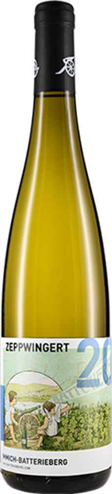 2024 Enkircher ZEPPWINGERT Riesling BIO