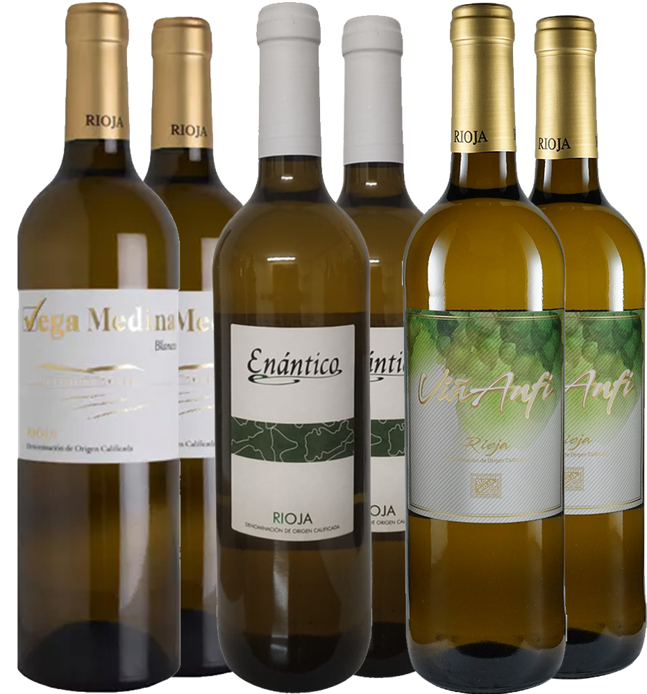 Weißwein Kennenlernpaket – Viñedos y Bodegas Lyng