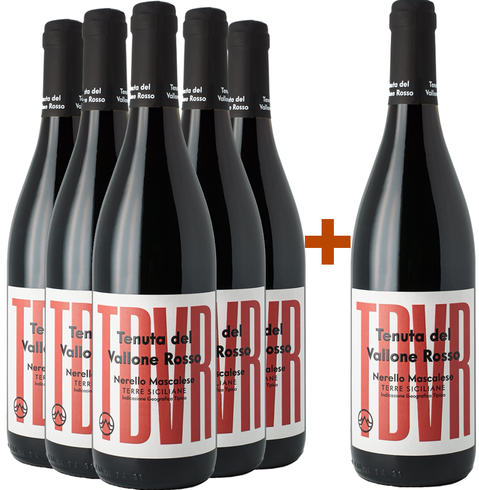 5+1 Paket TDVR Nerello Mascalese Terre Siciliane IGP 2023