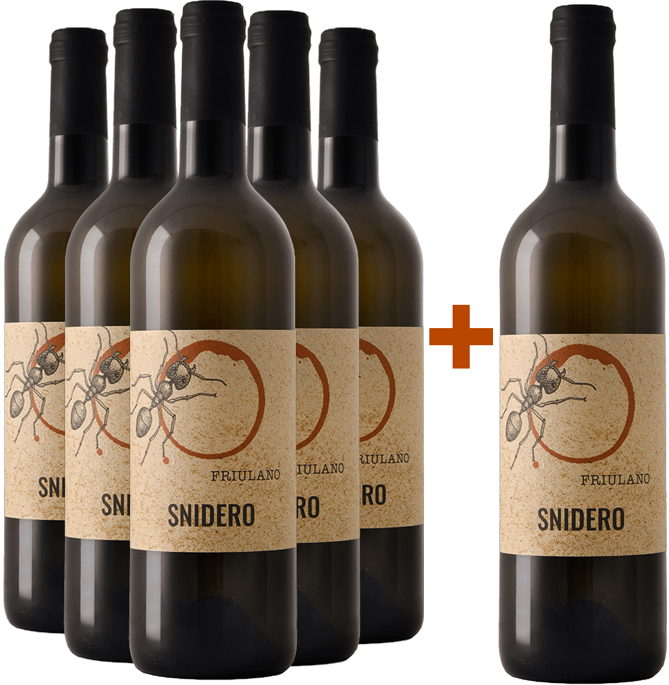 5+1 Paket Friulano Friuli Colli Orientali DOC BIO