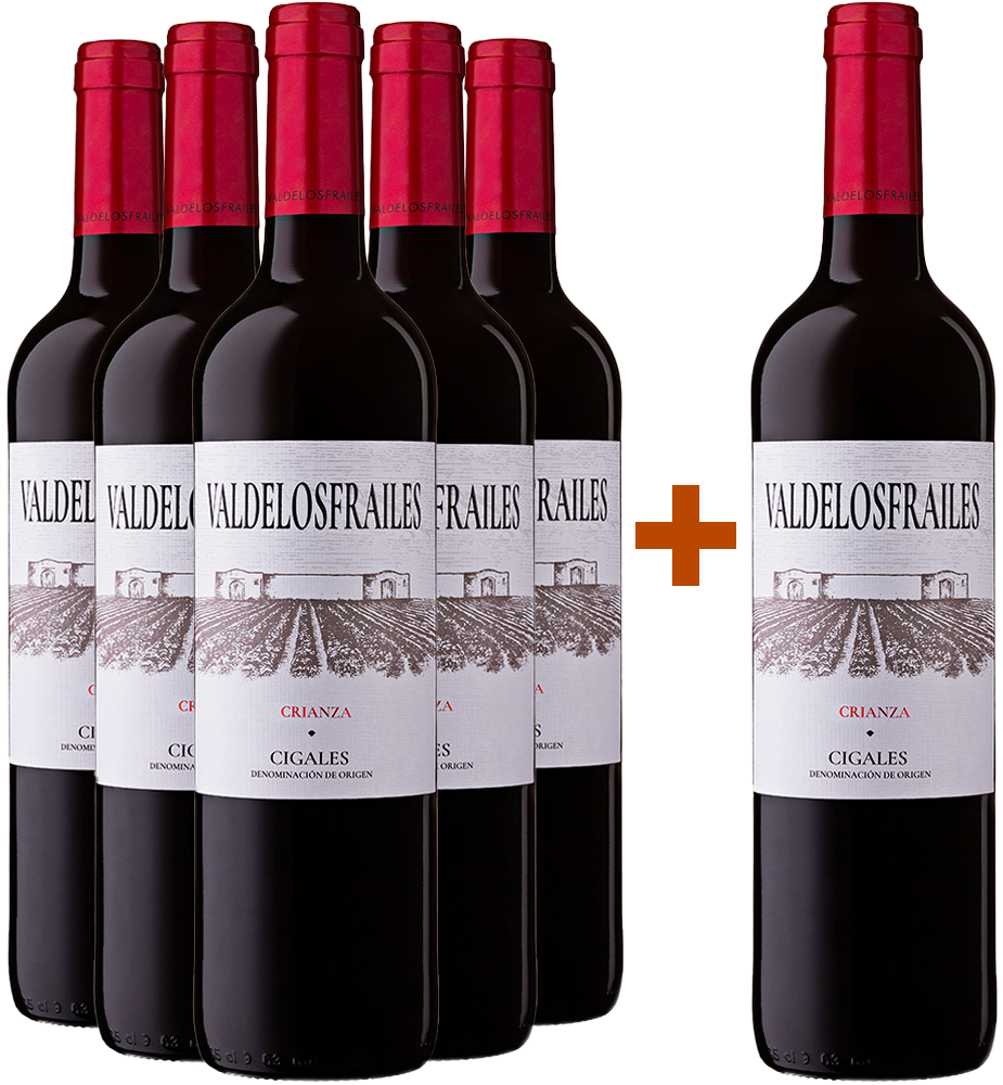 Aktionspaket 5+1 Valdelosfrailes Crianza 2021 Cigales DO