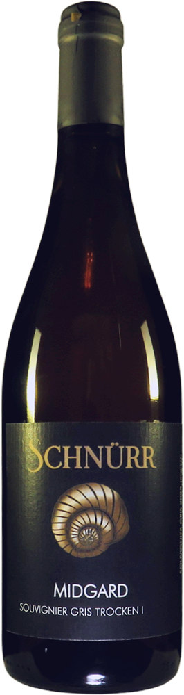 2023 MIDGARD Souvignier gris
