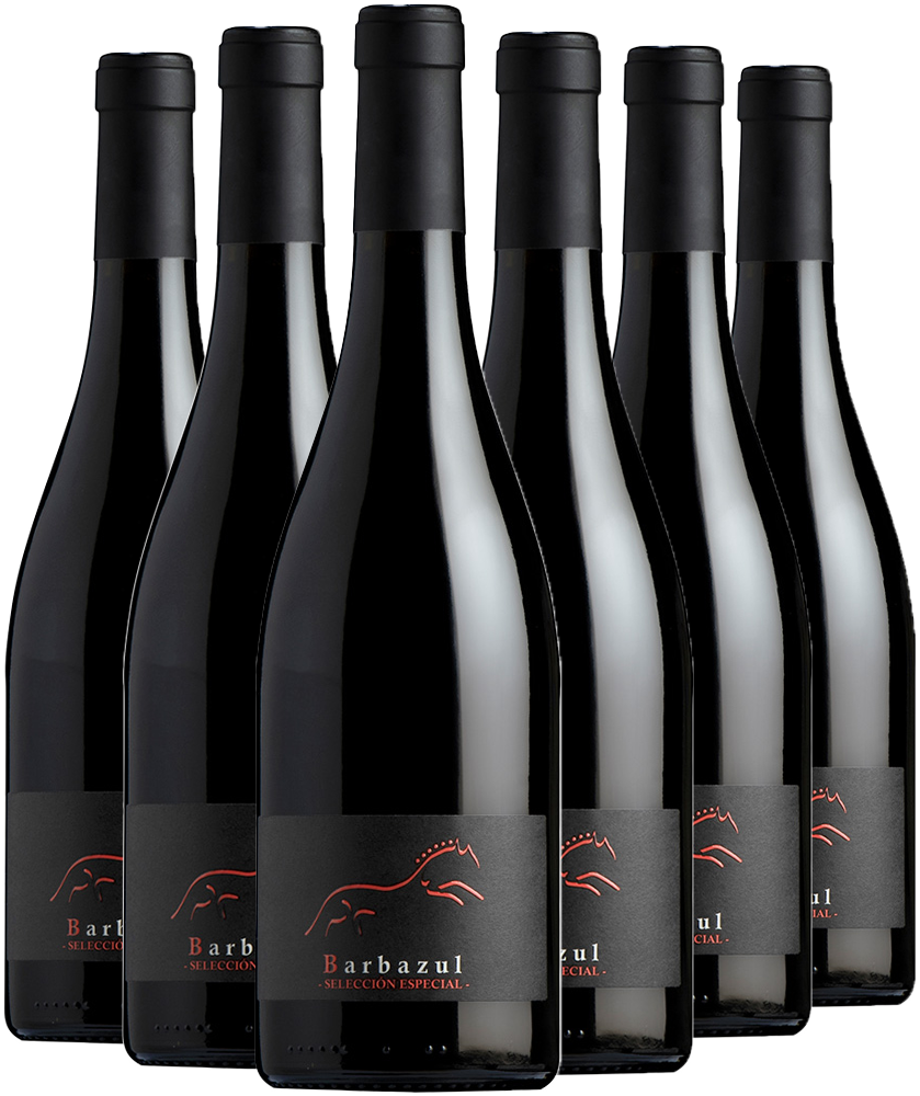 Barbazul Selección Aktionspaket Cádiz VT