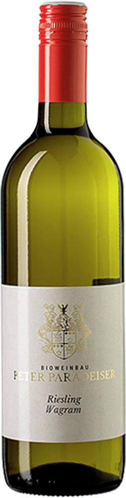 2024 Riesling Ried Scheiben BIO