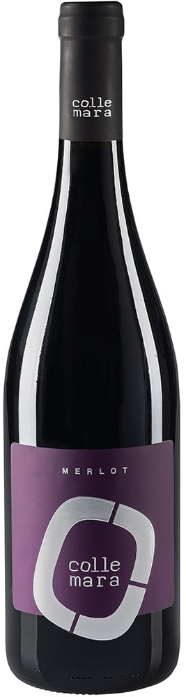 2017 Merlot Rosso Marche IGP