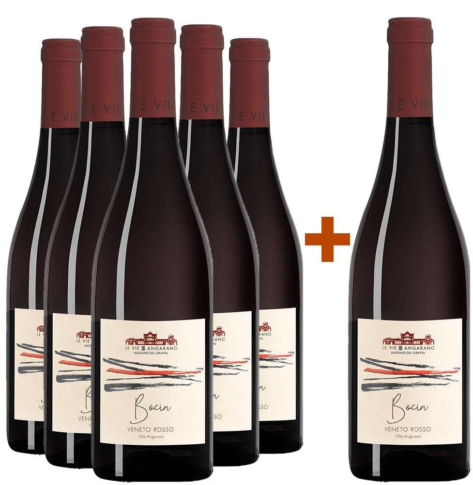 5+1 Paket Bocia Veneto IGP BIO