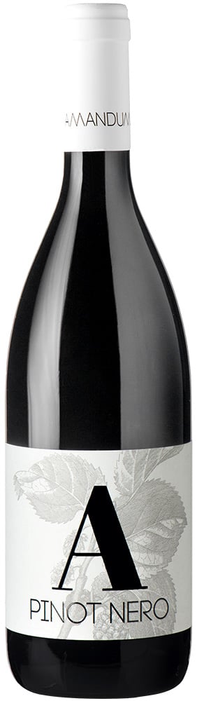 2021 Pinot Nero Friuli Isonzo DOC