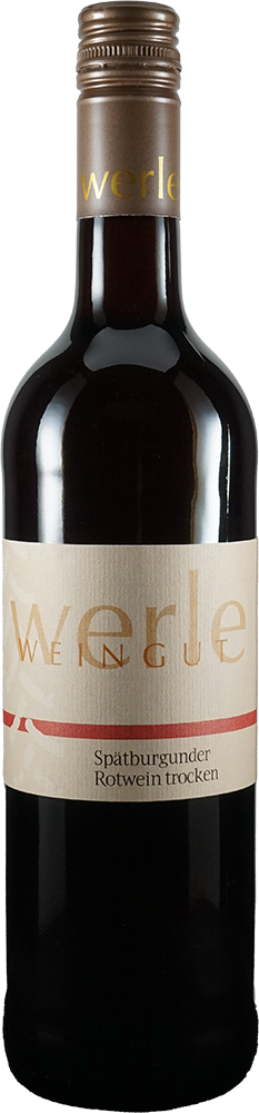 2024 Spätburgunder Rotwein