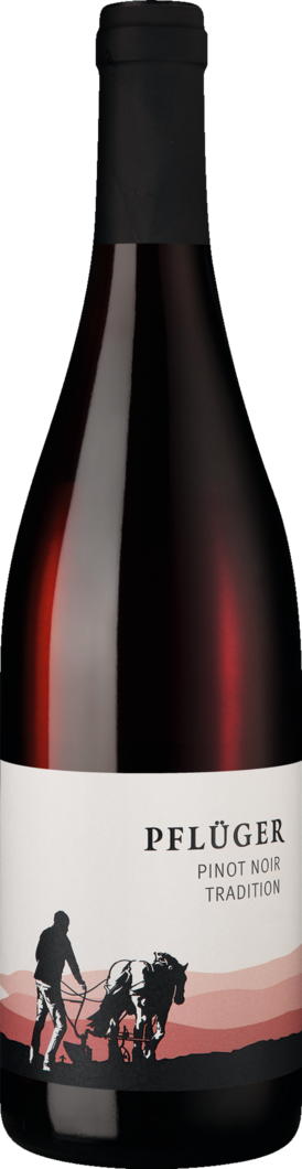 2024 Tradition Pinot Noir BIO