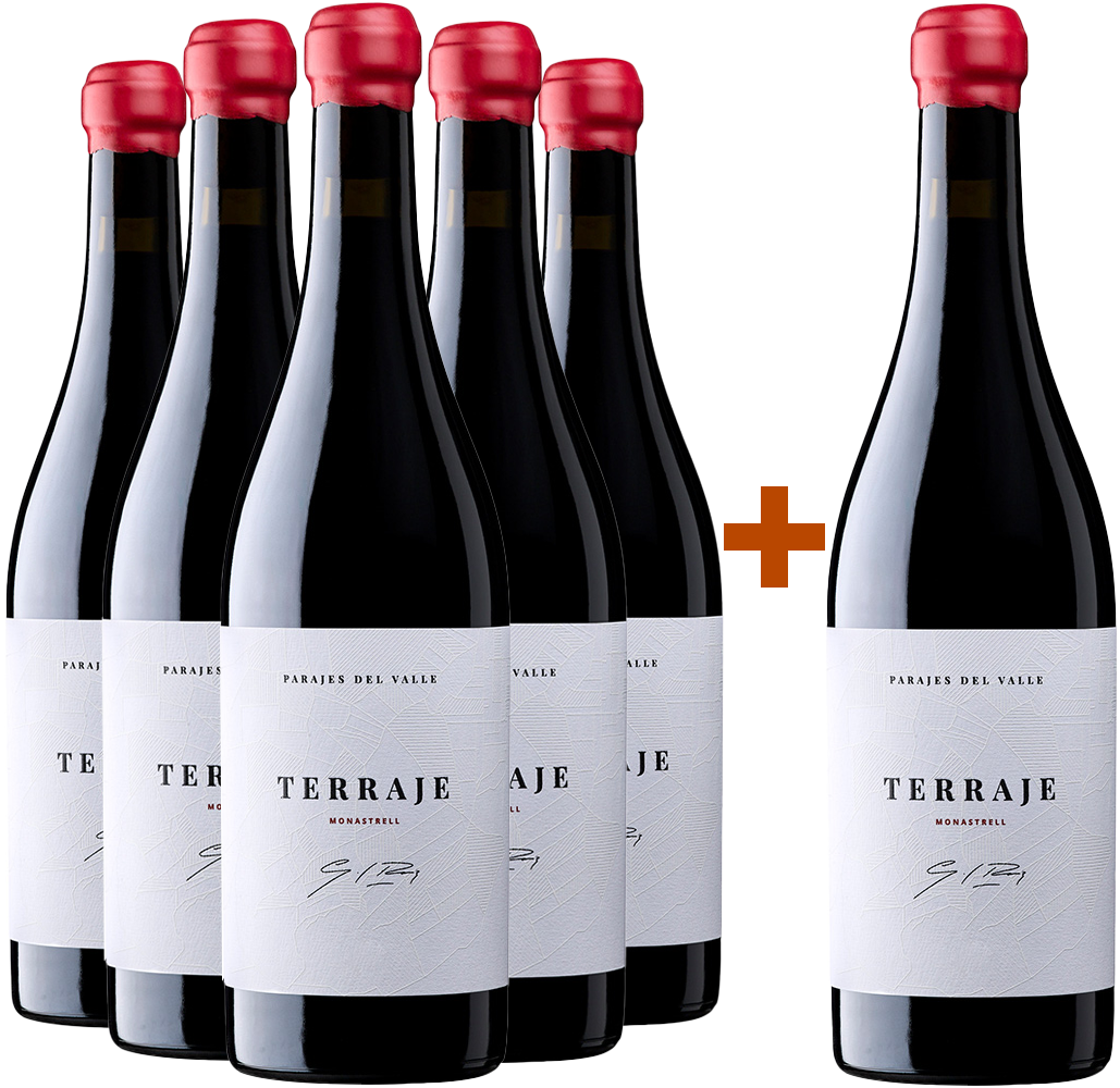 5+1 Aktionspaket Terraje 2022 Jumilla DO BIO