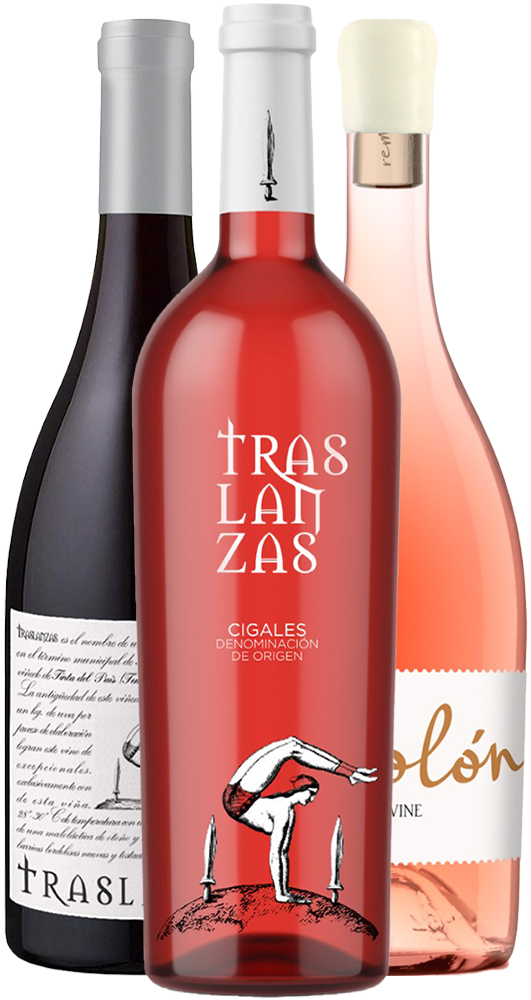 Kennenlernpaket Traslanzas Cigales DO