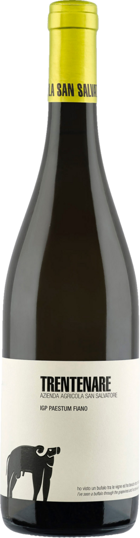 2024 San Salvatore Trentenare Fiano