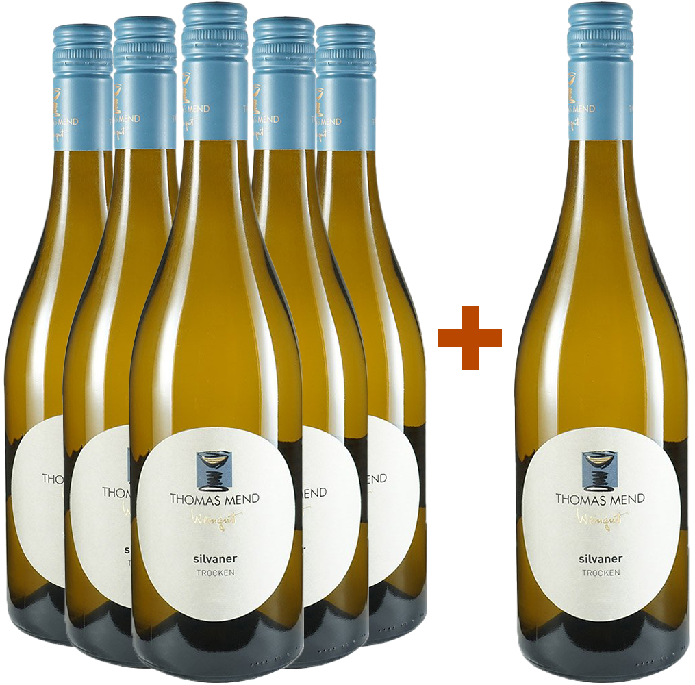 5+1 Paket Silvaner trocken 