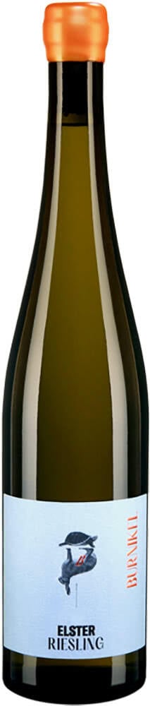 2021 Riesling Forster Elster