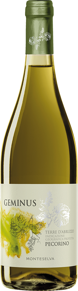 2025 Geminus Pecorino Terre d'Abruzzo IGP
