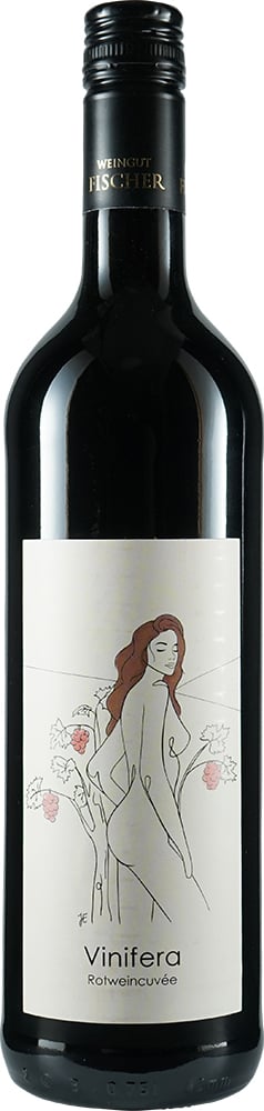 2020 Heilbronner Stiftsberg Vinifera Rotwein Cuvée