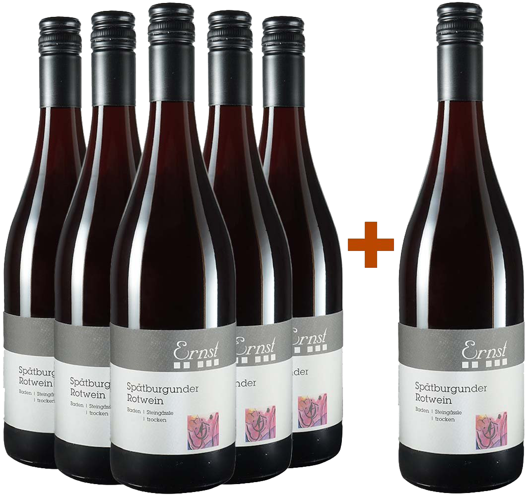 5+1 Paket Spätburgunder Steingässle trocken BIO