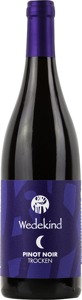2022 Niersteiner Pinot Noir BIO