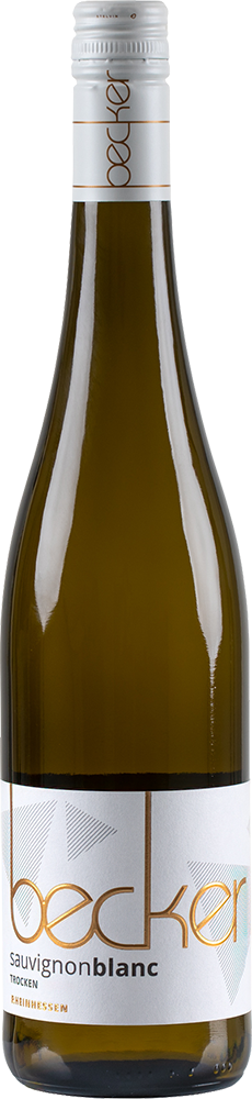2025 SAUVIGNON BLANC