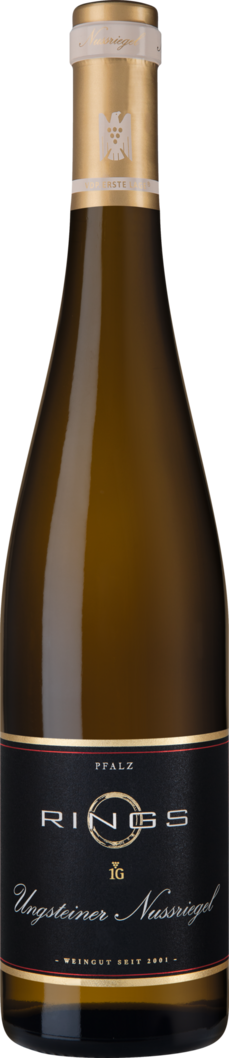 2021 Ungsteiner Nussriegel Riesling Erste Lage BIO