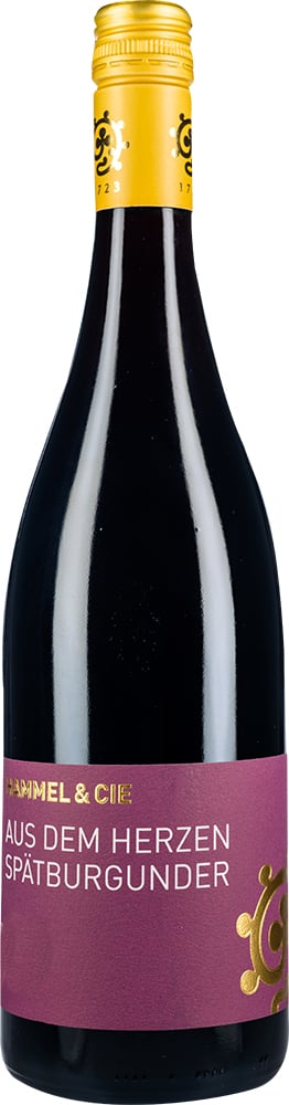 2024 Spätburgunder Rotwein Aus dem Herzen