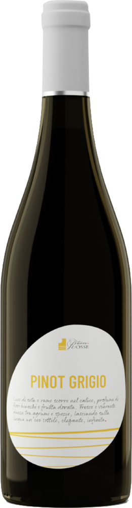 2025 Pinot Grigio Friuli DOC