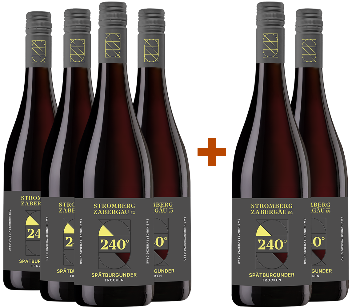 4+2 Paket 240° Entdeckung Spätburgunder