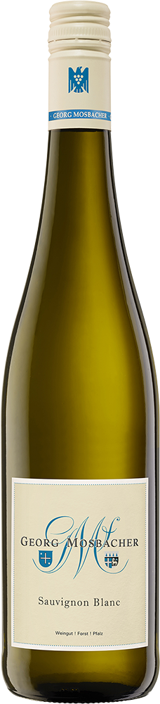 2024 Sauvignon Blanc BIO
