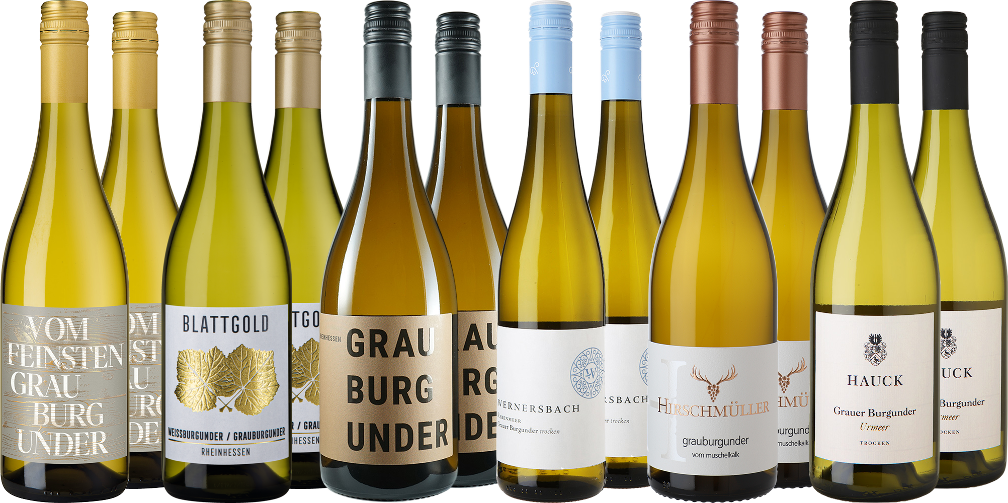 Großes Grauburgunder Entdecker-Paket