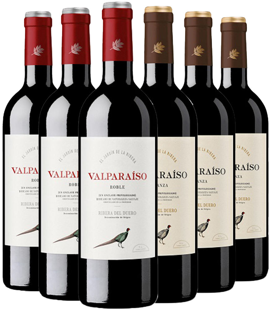 Bodegas Valparaiso Kennenlern-Paket Ribera del Duero DO