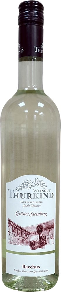 2024 Bacchus DQW