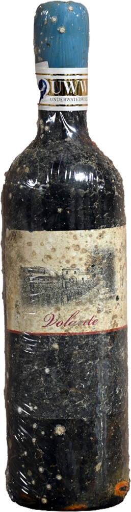 2020 Volante UnderWaterWine Bolgheri DOC