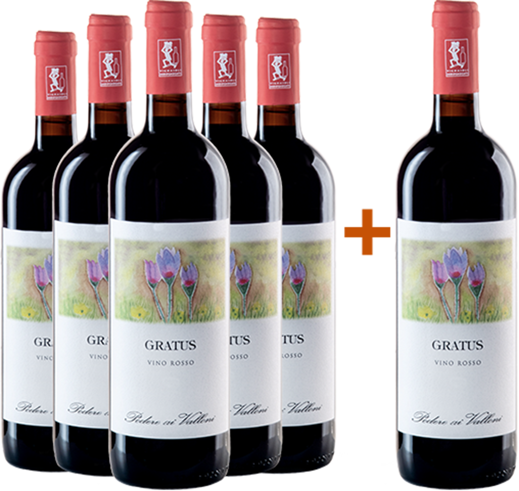 5+1 Paket 5+1 Gratus Vino Rosso BIO