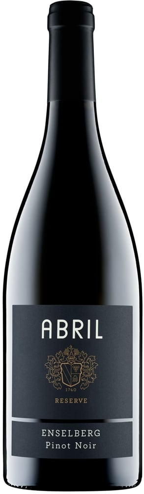 2022 ZEIT Pinot Noir "Steinbuck" BIO