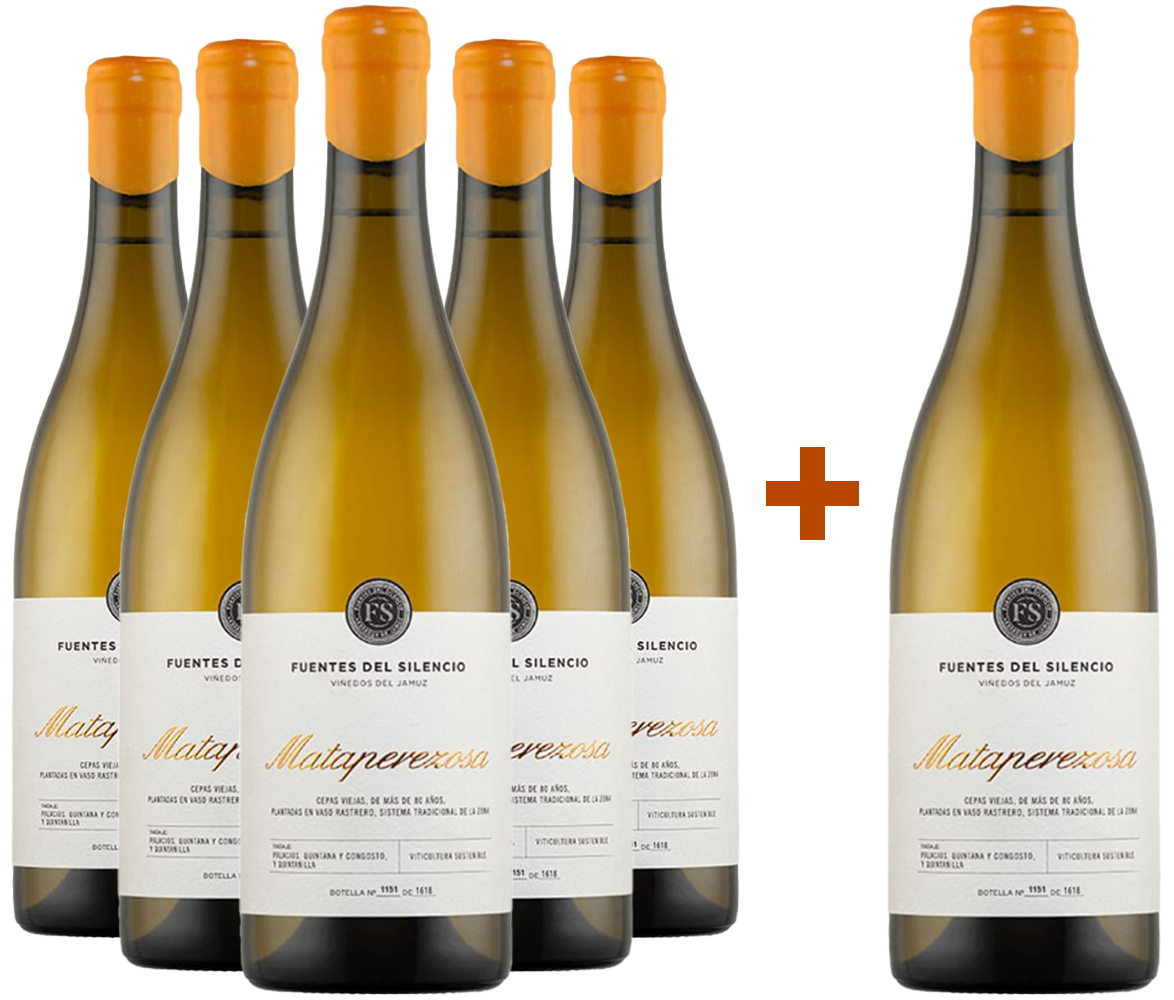 Pack Descuento 5+1 Fuentes del Silencio Mataperezosa Blanco Castilla y León VT
