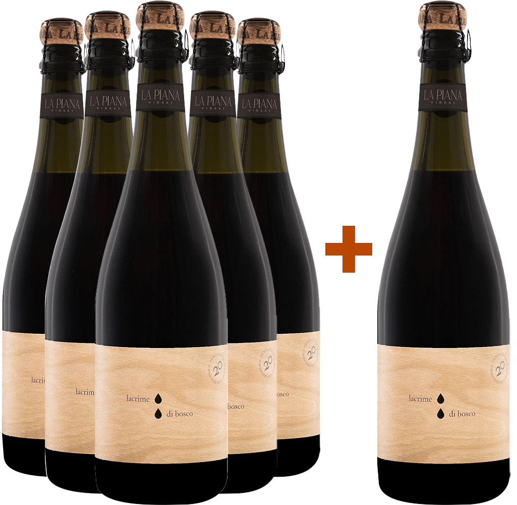 5+1 Paket Lacrime di Bosco Lambrusco Grasparossa di Castelvetro DOC BIO