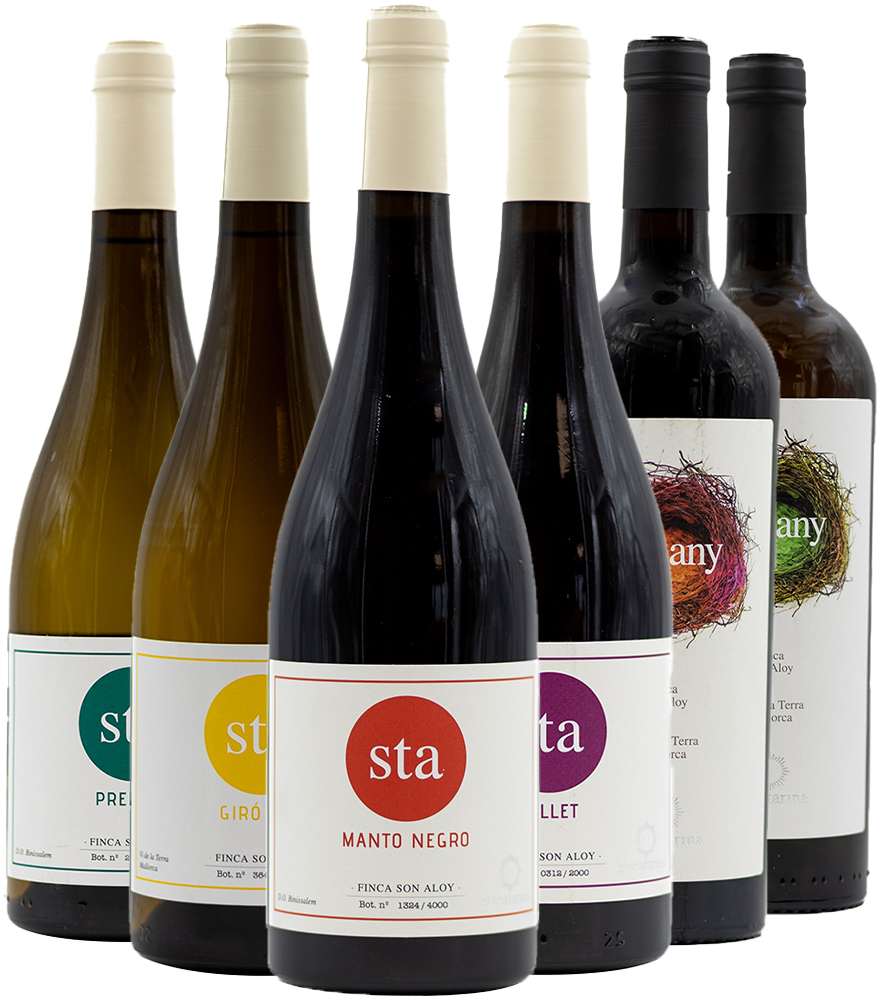 Kennenlernpaket Santa Catarina Mallorca VT