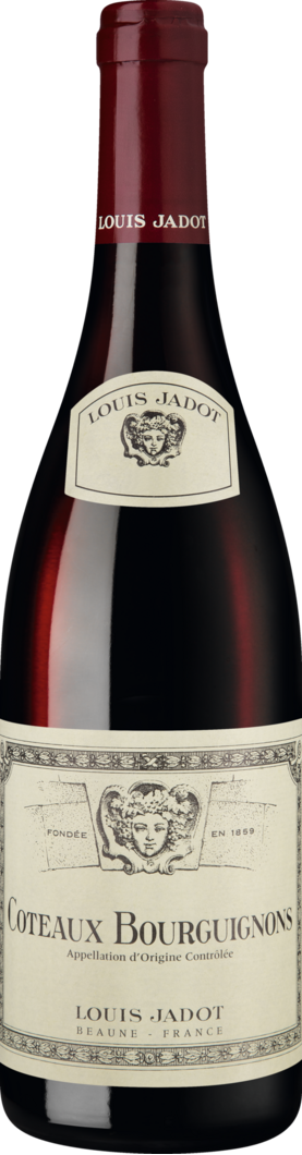 2024 Louis Jadot Coteaux Bourguignons Rouge