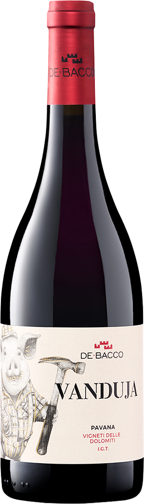 2023 Vanduja Pavana Vigneti delle Dolomiti IGP